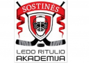 SLR logo