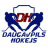 DSS logo
