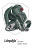 LIE logo