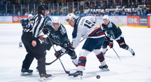 Kas svarīgākais: vairākums, mazākums, līderi vai vārtsargs? Viss hokejs…