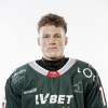 Niklāvs LAGZDIŅŠ