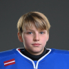 Rauls DZENIS