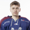Renarts Džerods ALKSNIS