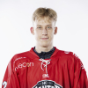 Sander STETSKI