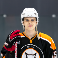 Reinis VIRSNĪTIS